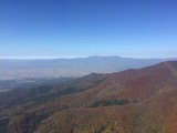 IMG_2644.jpg