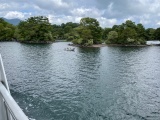 IMG_3339.jpg